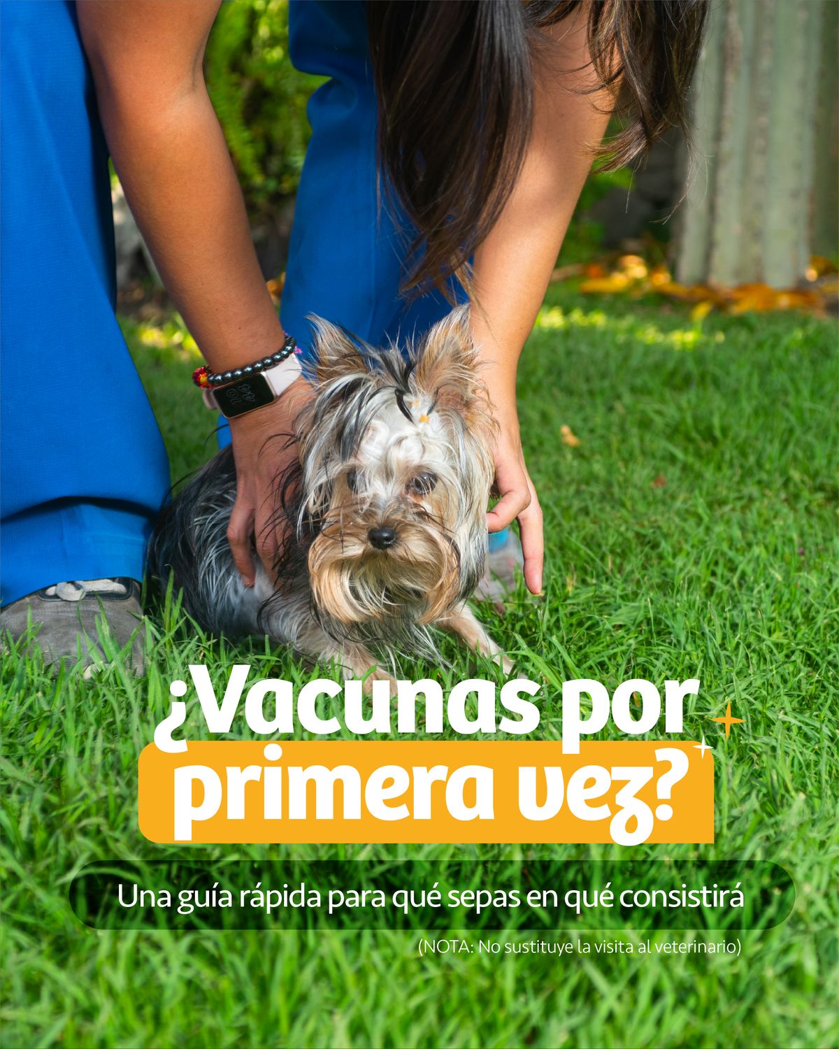 Portada de carrusel al aire libre: unas manos sostienen sobre el pasto a un yorkshire de moño, con el uniforme azul al fondo; encima, «¿Vacunas por primera vez?» en blanco sobre pastilla amarilla y la bajada «Una guía rápida para que sepas en qué consistirá»