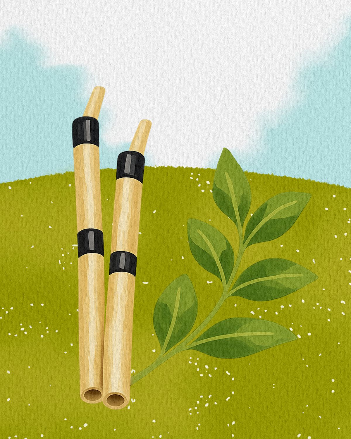 Fondo ilustrado de rapé: dos pipas de bambú apoyadas en el pasto junto a una rama de hojas verdes, bajo un cielo claro