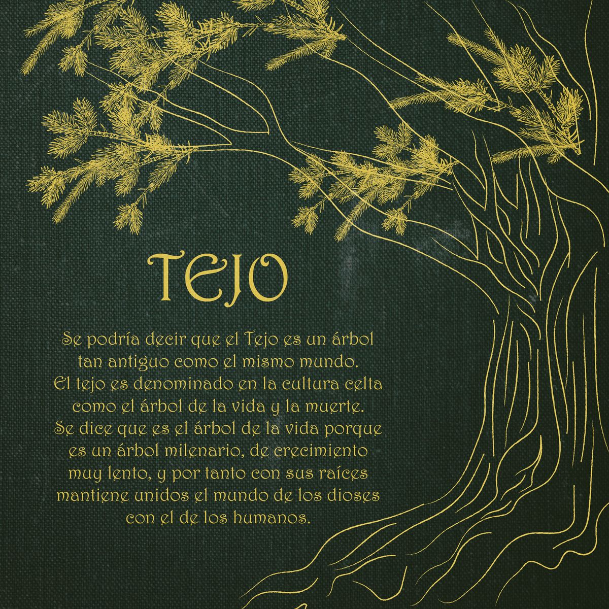 Un árbol de tejo dibujado en dorado sobre lienzo verde oscuro, con ramas de hojas finas arriba y el tronco a la derecha, junto al título «Tejo» y un texto sobre el árbol de la vida y la muerte en la cultura celta