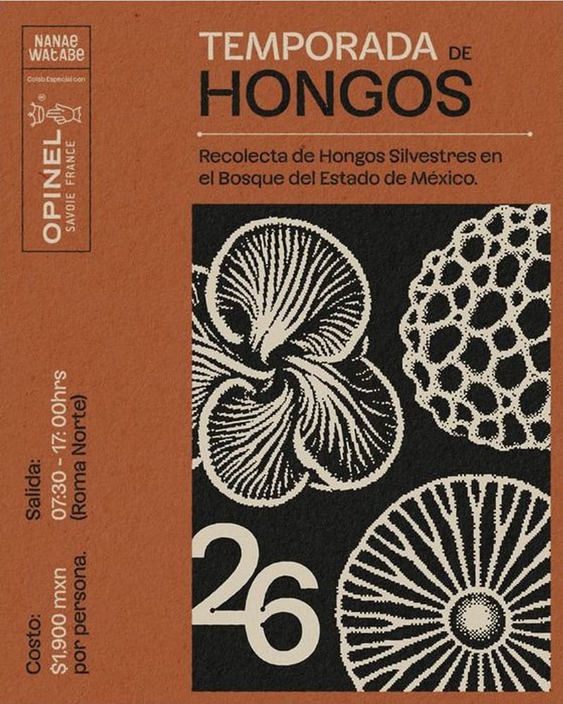 Cartel de «Temporada de Hongos» para Nanae Watabe: sobre fondo terracota, cuatro hongos silvestres ilustrados a la manera de un grabado antiguo, en crema sobre un recuadro negro, con el número 26 y los datos de salida, sede y costo de la recolecta