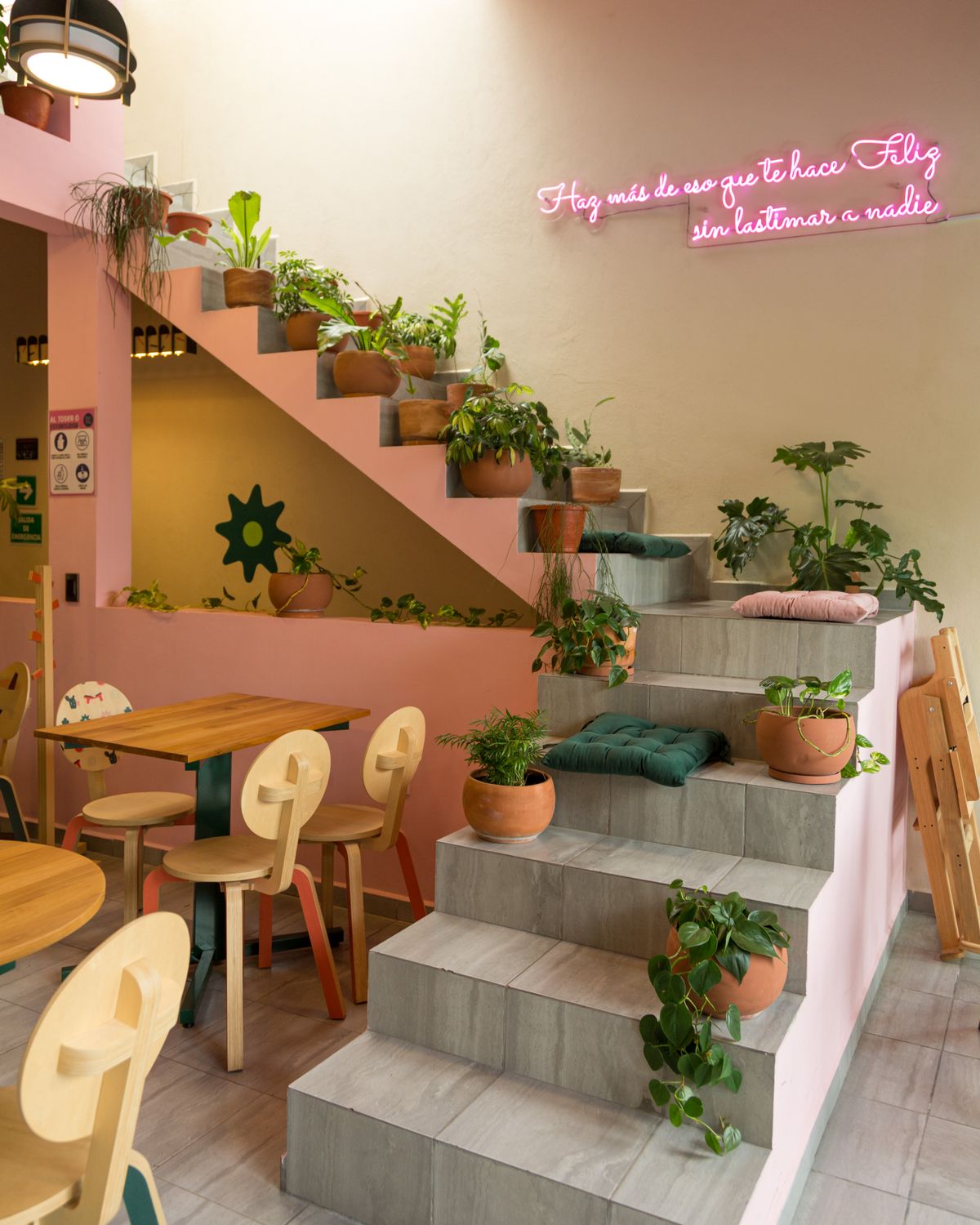 Interior de la sucursal de San Ángel: escalones de concreto convertidos en jardinera con plantas, muros rosas, sillas de madera clara y un letrero de neón rosa